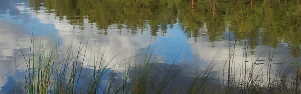 Ornungasjön fiske